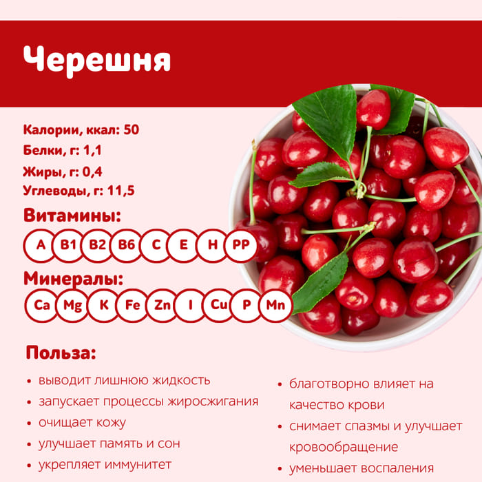 Как вырастить дома черешню размером с монету и заработать на этом миллион